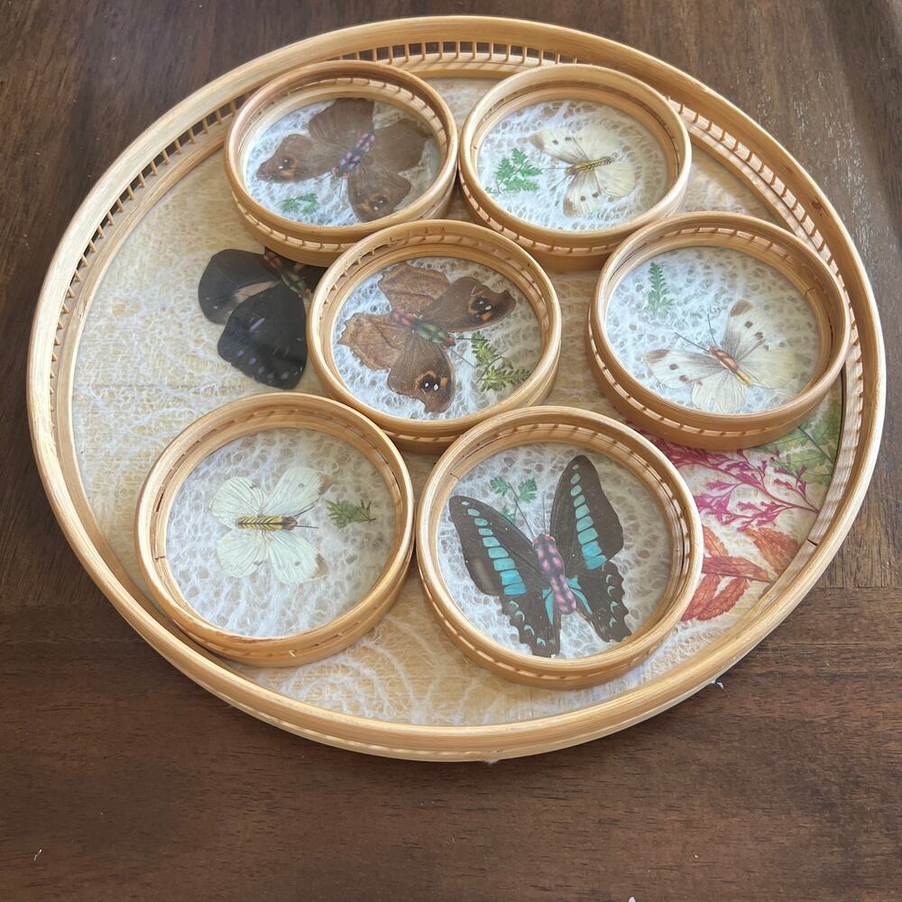 Taxidermy Butterfly Pressed Botanical Bamboo Serving Tray Coaster Caddy Set of7
